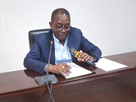 Cour constitutionnelle : Bilan critique des législatives et préparation de la présidentielle