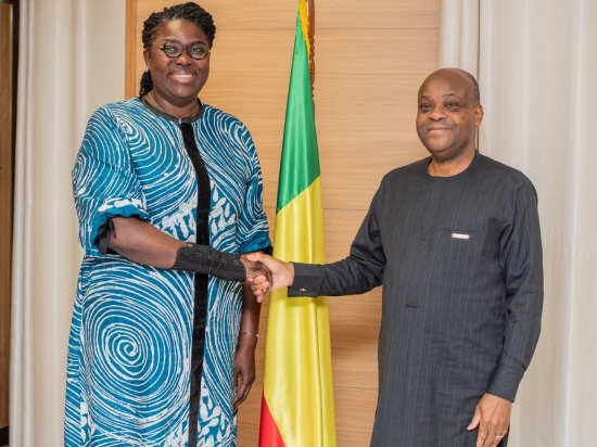 Cour constitutionnelle: Le Pr Dorothé SOSSA reçoit la Directrice Afrique de l’IFES, Mme Clara COLE